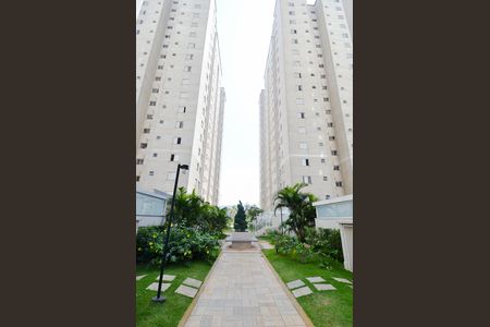 Apartamento para alugar com 54m², 2 quartos e 1 vaga Apartamento para alugar com 54m², 2 quartos e 1 vagaÁrea comum