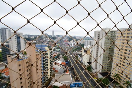 Sala - Vista de apartamento para alugar com 3 quartos, 152m² em Cambuí, Campinas