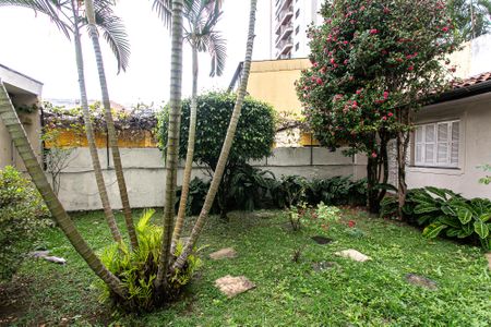 Casa para alugar com 400m², 3 quartos e 1 vaga Casa para alugar com 400m², 3 quartos e 1 vagaQuintal