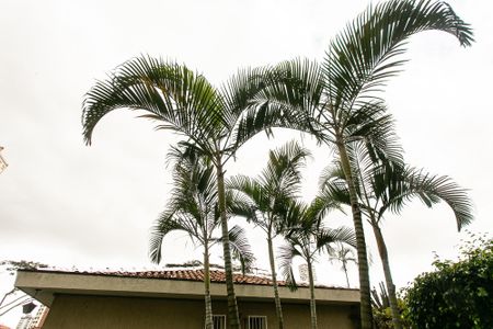 Casa para alugar com 400m², 3 quartos e 1 vaga Casa para alugar com 400m², 3 quartos e 1 vagaQuintal