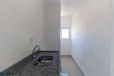 Cozinha de apartamento para alugar com 1 quarto, 41m² em Jardim Avelino, São Paulo