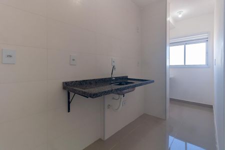 Cozinha de apartamento para alugar com 1 quarto, 41m² em Jardim Avelino, São Paulo