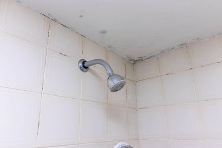 Apartamento à venda com 63m², 2 quartos e 1 vagaBanheiro