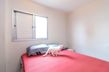 Apartamento à venda com 63m², 2 quartos e 1 vagaQuarto 2