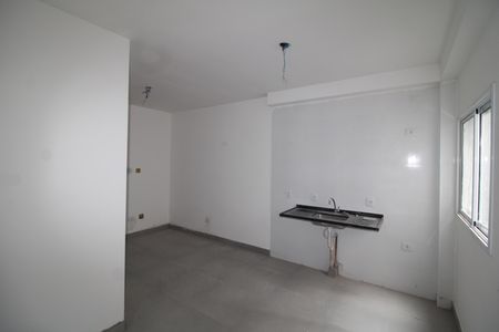 Sala / Cozinha /  Área de Serviço de apartamento para alugar com 2 quartos, 41m² em Jardim Primavera, São Paulo