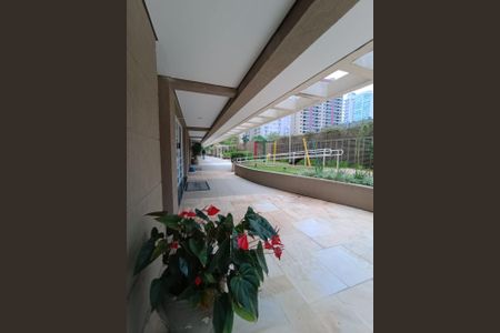 Apartamento à venda com 87m², 3 quartos e 2 vagas Apartamento à venda com 87m², 3 quartos e 2 vagasFoto 26
