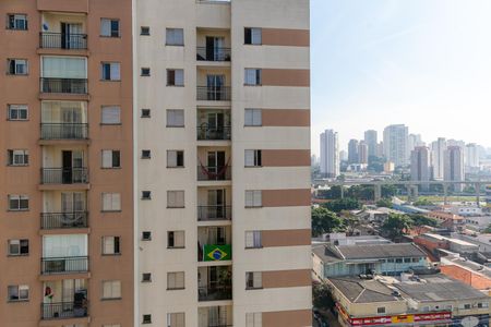 Vista da Varanda da Sala de apartamento para alugar com 2 quartos, 49m² em Quinta da Paineira, São Paulo