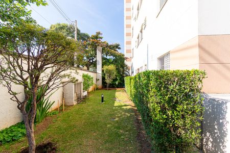 Apartamento para alugar com 49m², 2 quartos e 1 vagaÁrea comum