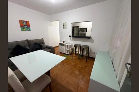 Foto 05 de apartamento para alugar com 1 quarto, 45m² em Jardim da Gloria, São Paulo