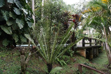 Casa para alugar com 3500m², 4 quartos e 4 vagasJardim