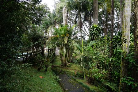 Casa para alugar com 3500m², 4 quartos e 4 vagasJardim