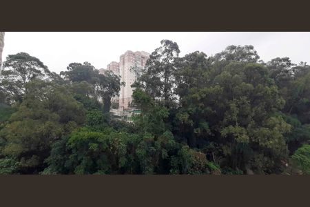 Apartamento para alugar com 50m², 3 quartos e 1 vagaVista do Quarto 2
