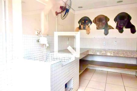 Apartamento para alugar com 57m², 3 quartos e 1 vaga Apartamento para alugar com 57m², 3 quartos e 1 vagaEspaço pet