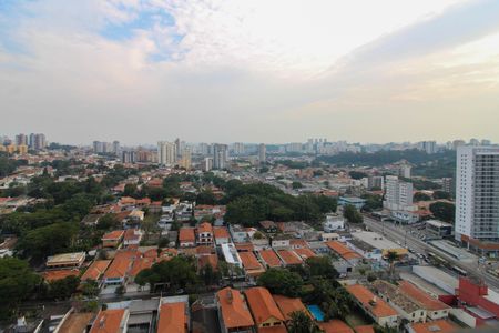 Vista Varanda da Sala de apartamento para alugar com 2 quartos, 59m² em Vila Progredior, São Paulo