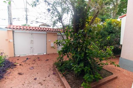 Casa para alugar com 300m², 5 quartos e 4 vagas Casa para alugar com 300m², 5 quartos e 4 vagasVista da Sala