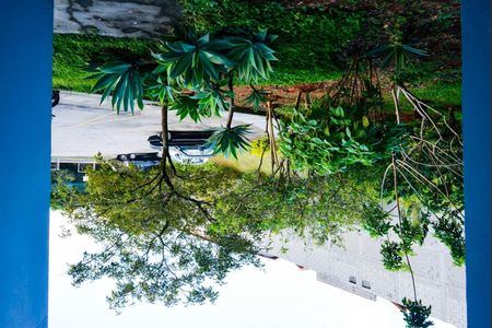 Apartamento para alugar com 50m², 2 quartos e 1 vagaVista da Sala