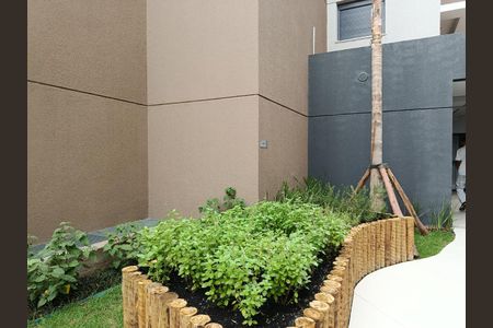 Studio para alugar com 28m², 1 quarto e sem vaga Studio para alugar com 28m², 1 quarto e sem vagaHorta