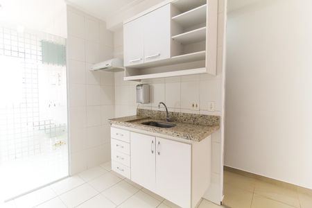 Apartamento para alugar com 50m², 2 quartos e 1 vaga Apartamento para alugar com 50m², 2 quartos e 1 vagaCozinha