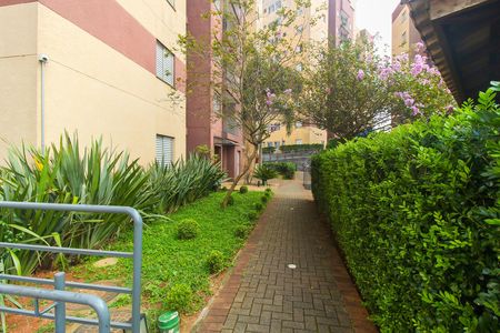 Apartamento para alugar com 50m², 2 quartos e 1 vaga Apartamento para alugar com 50m², 2 quartos e 1 vagaÁrea comum