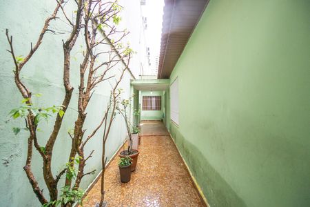 Casa para alugar com 120m², 2 quartos e 1 vaga Casa para alugar com 120m², 2 quartos e 1 vagaCorredor lateral