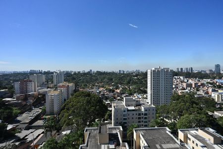 Vista de apartamento para alugar com 1 quarto, 26m² em Morumbi, São Paulo