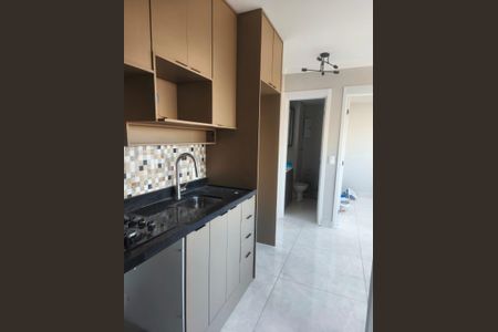 Cozinha de apartamento para alugar com 2 quartos, 32m² em Parque Erasmo Assunção, Santo André