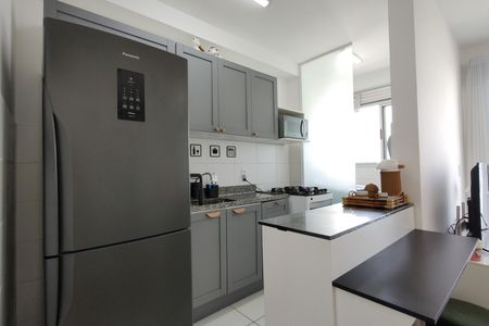 Apartamento para alugar com 48m², 2 quartos e 1 vaga Apartamento para alugar com 48m², 2 quartos e 1 vagaCozinha - Armários