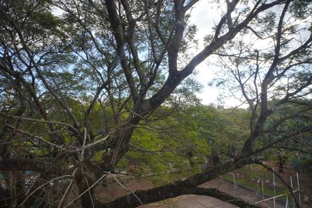 Apartamento para alugar com 71m², 2 quartos e sem vaga Apartamento para alugar com 71m², 2 quartos e sem vagaVista do Quarto 2