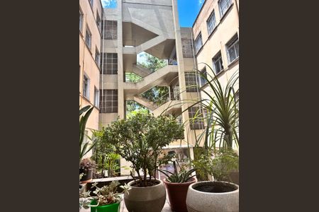 Apartamento para alugar com 50m², 2 quartos e 1 vaga Apartamento para alugar com 50m², 2 quartos e 1 vagaÁrea externa