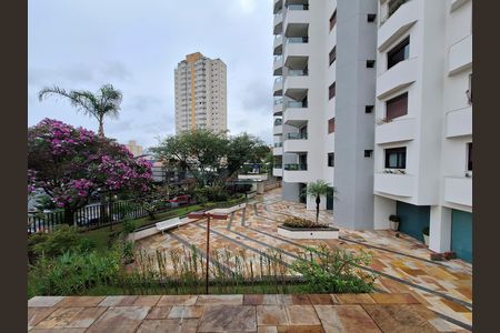 Vista Quarto 1 de casa à venda com 4 quartos, 535m² em Água Fria, São Paulo