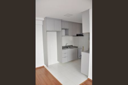 Detalhe - Cozinha Americana de apartamento para alugar com 2 quartos, 41m² em Vila Albertina, São Paulo