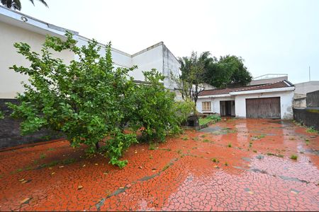Casa para alugar com 180m², 3 quartos e 2 vagasQuintal