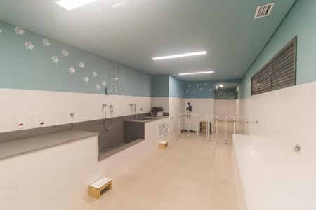 Apartamento para alugar com 50m², 2 quartos e 1 vaga Apartamento para alugar com 50m², 2 quartos e 1 vagaPet Care