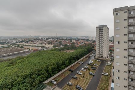 Vista Suite de apartamento para alugar com 2 quartos, 56m² em Jardim do Bosque, Hortolândia
