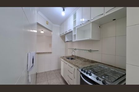 Apartamento para alugar com 53m², 2 quartos e sem vaga Apartamento para alugar com 53m², 2 quartos e sem vagaCozinha