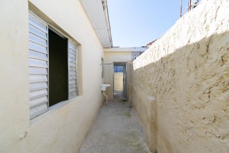 Área de Serviço de casa para alugar com 1 quarto, 37m² em Vila Babilonia, São Paulo