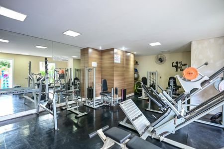 Apartamento para alugar com 50m², 2 quartos e 1 vagaAcademia