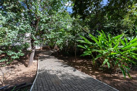 Apartamento para alugar com 70m², 3 quartos e 2 vagas Apartamento para alugar com 70m², 3 quartos e 2 vagasÁrea comum