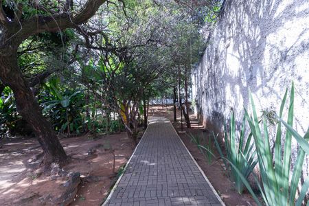 Apartamento para alugar com 70m², 3 quartos e 2 vagas Apartamento para alugar com 70m², 3 quartos e 2 vagasÁrea comum