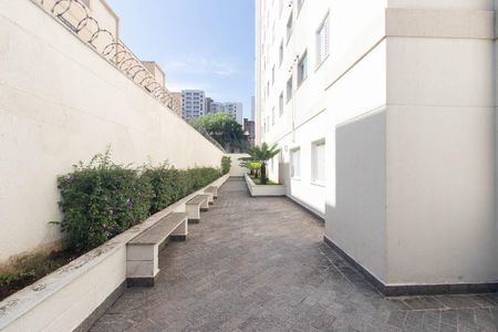 Apartamento para alugar com 63m², 2 quartos e 1 vaga Apartamento para alugar com 63m², 2 quartos e 1 vagaÁrea comum