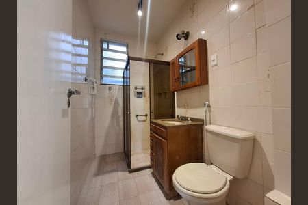 Banheiro  de apartamento à venda com 2 quartos, 64m² em Laranjeiras, Rio de Janeiro