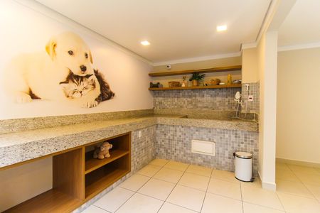 Apartamento para alugar com 32m², 2 quartos e sem vaga Apartamento para alugar com 32m², 2 quartos e sem vagaPet Care