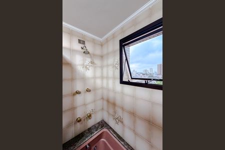 Apartamento à venda com 191m², 4 quartos e 2 vagas Apartamento à venda com 191m², 4 quartos e 2 vagasBanheiro da Suíte