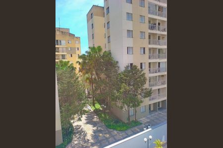 Apartamento à venda com 2 quartos, 50m² em Vila Lageado, São Paulo