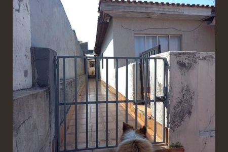 Casa à venda com 6 quartos, 247m² em Santa Maria, São Caetano do Sul