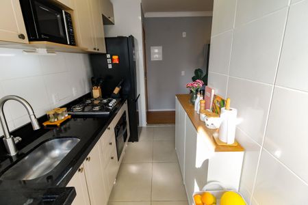 Cozinha - Armários de apartamento à venda com 2 quartos, 53m² em Paraíso do Morumbi, São Paulo