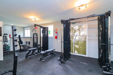 Apartamento para alugar com 40m², 2 quartos e sem vaga Apartamento para alugar com 40m², 2 quartos e sem vagaÁrea comum - Academia