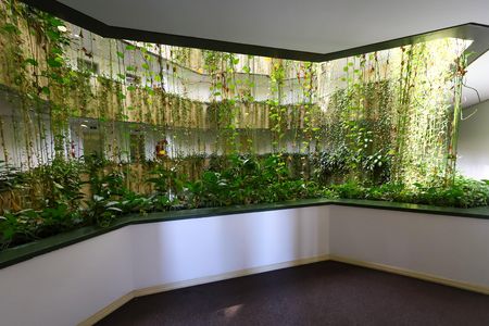 Apartamento para alugar com 72m², 2 quartos e sem vagaHall