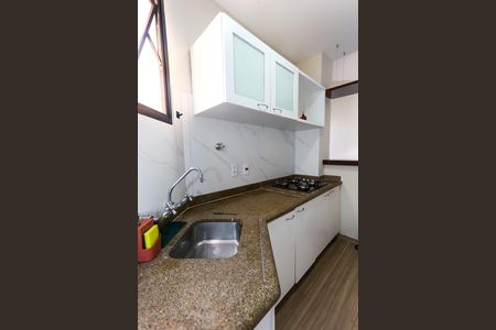 cozinha de apartamento para alugar com 2 quartos, 72m² em Jardim Ampliacao, São Paulo