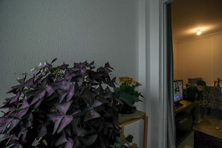 Apartamento à venda com 48m², 2 quartos e 1 vaga Apartamento à venda com 48m², 2 quartos e 1 vagaSacada